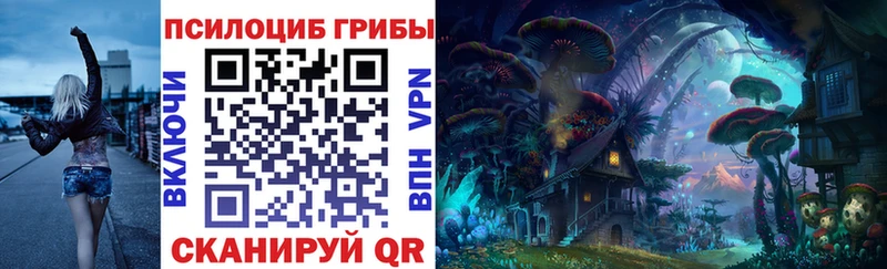 Купить закладки  Братск  Псилоцибиновые грибы Psilocybine cubensis 